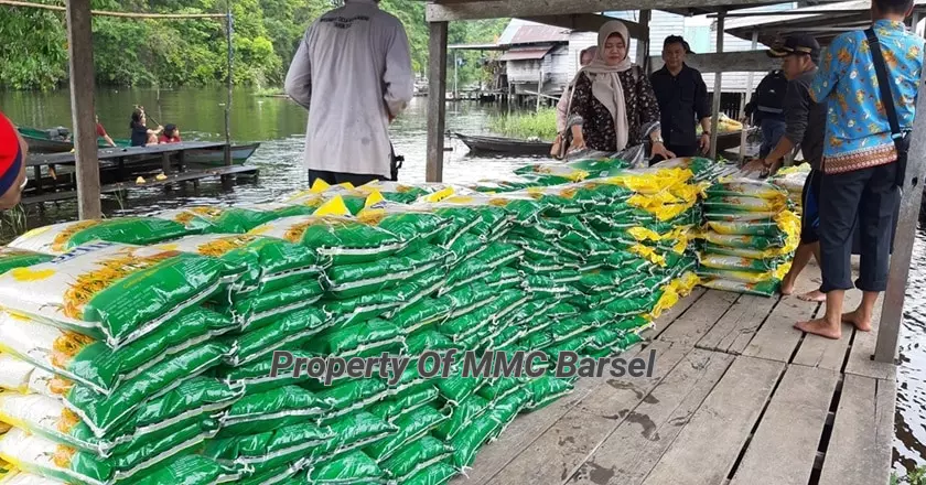 Beras Bantuan Untuk Desa Rentan Rawan Pangan saat tiba di Desa  Mahajandau (Foto:Dok)