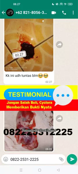 Jual%20Obat%20Penggugur%20Kandungan%20Cytotec%20Cyclora%20Gastrul%20Misoprostol%20di%20Apotik.jpg