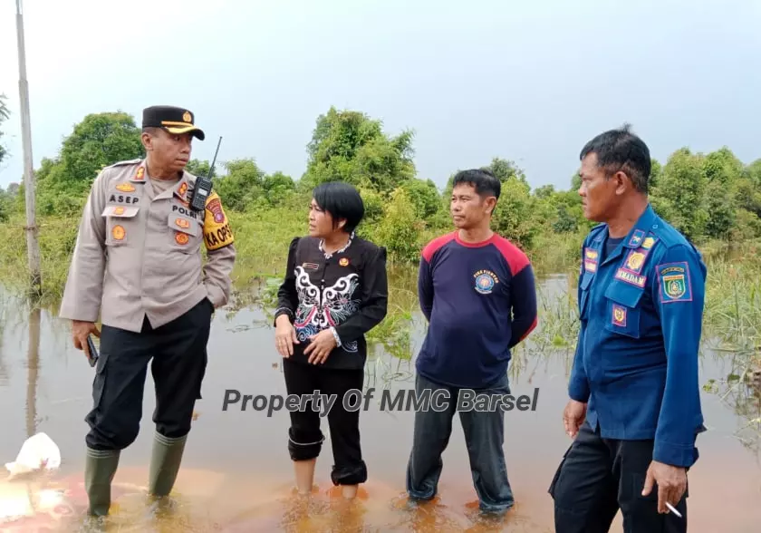 Kadis PUPR Kab.Barsel Ita Minarni dan Kaporlres Barsel AKBP  Asep Bangbang Saputra melihat secara langsung pembuatan Tanggul (Foto:dok)
