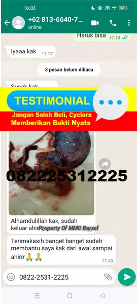 Obat%20Aborsi%20Cara%20Menggugurkan%20Kandungan%20Kuat%20Cytotec%20Misoprostol%201%202%203%204%205%206%207%208%20Bulan.jpg