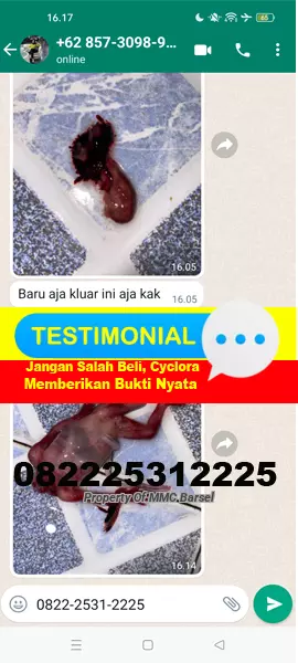 Obat%20Menggugurkan%20Kandungan%20Cytotec%20dan%20Cyclora.jpg