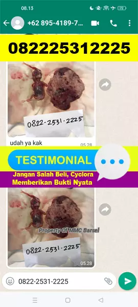 Testimoni%20Obat%20Aborsi%20Cytotec%20Cyclora%20Gastrul%20Misoprostol%20usia%2012%203%204%20bulan.jpg