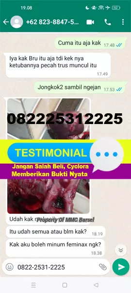 Testimoni%20Obat%20Aborsi%20Cytotec%20Cyclora%20Gastrul%20Misoprostol%20Penggugur%20Kandungan%20usia%20456%20bulan.jpg