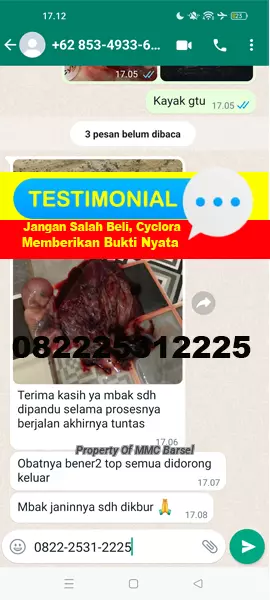 Obat%20Aborsi%20Cara%20Menggugurkan%20Kandungan%20Kuat%201%202%203%204%205%206%207%208%20Bulan.jpg
