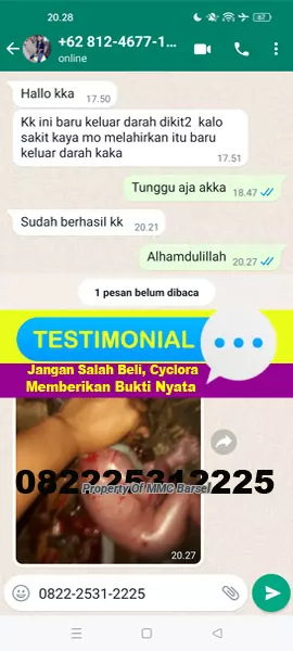 Testimoni%20Obat%20Aborsi%20Cytotec%20Cyclora%20Gastrul%20Misoprostol%20usia%205%206%207%208%20bulan.jpg