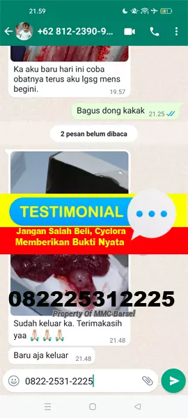 Jual%20Cytotec%20400%20mg%20dan%20Obat%20Aborsi%20Cyclora%20Asli.jpg